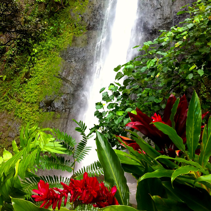 Chute d'eau Moorea