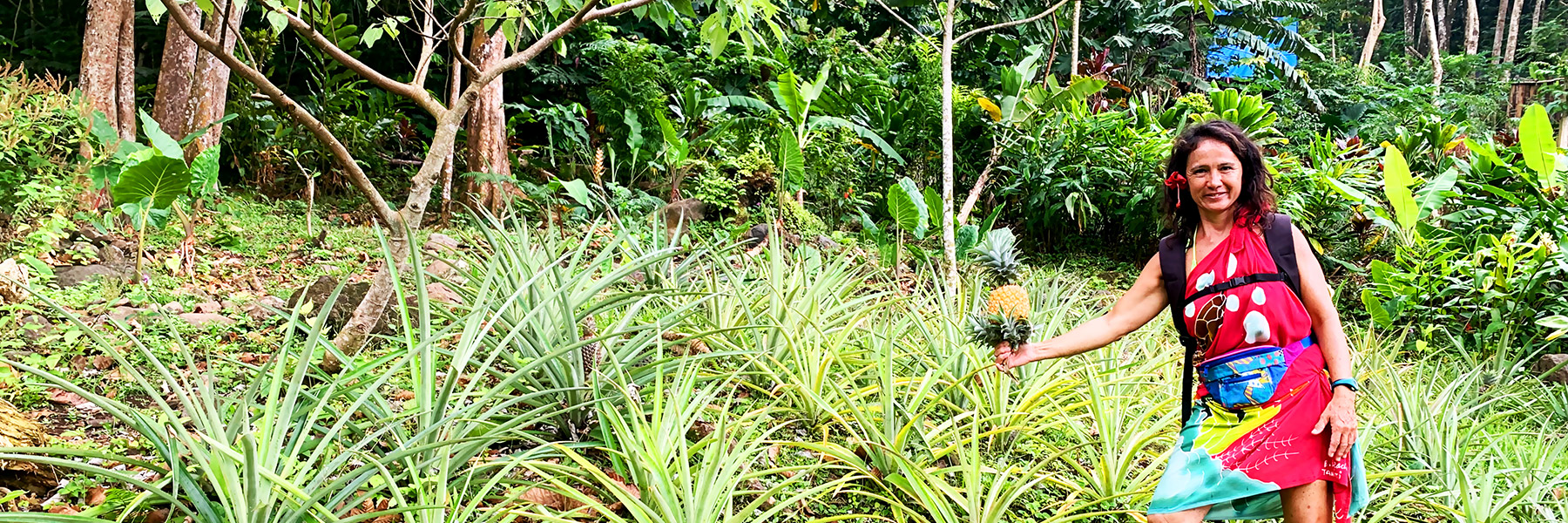 Guide de randonnée à Moorea