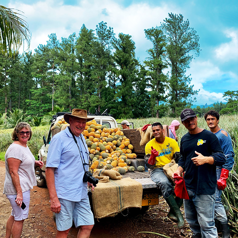 Moorea Pineapple