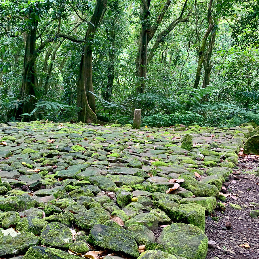 Moorea archaeological site