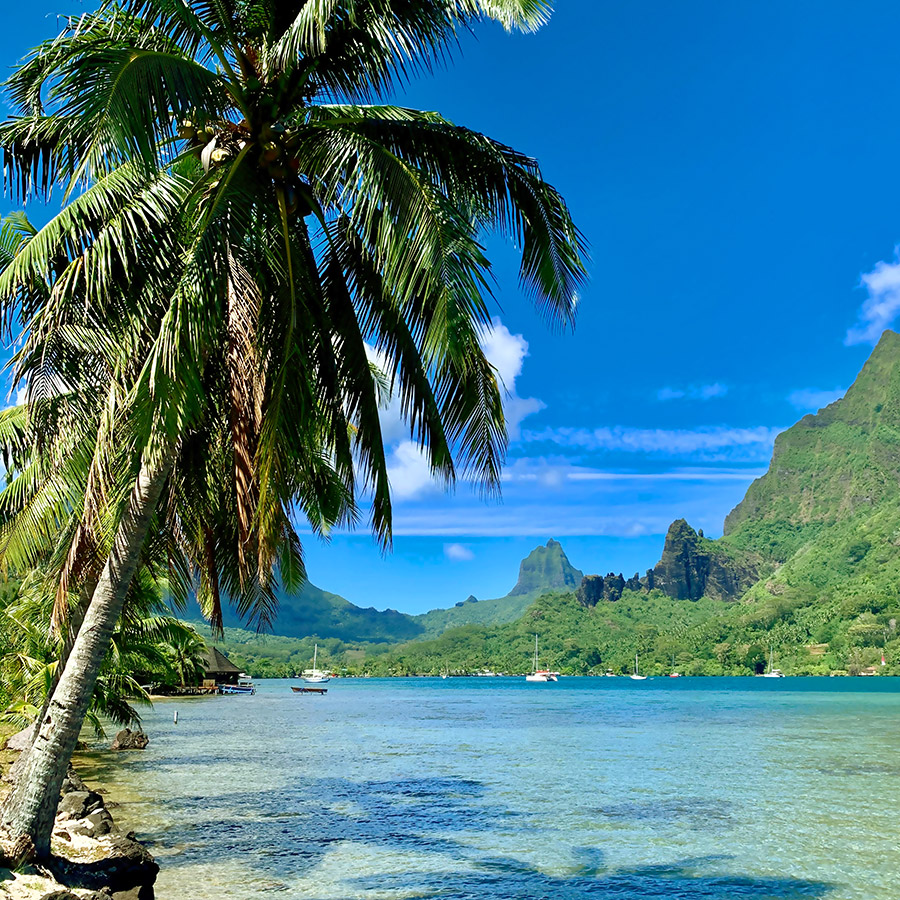 Moorea Baie de Cook