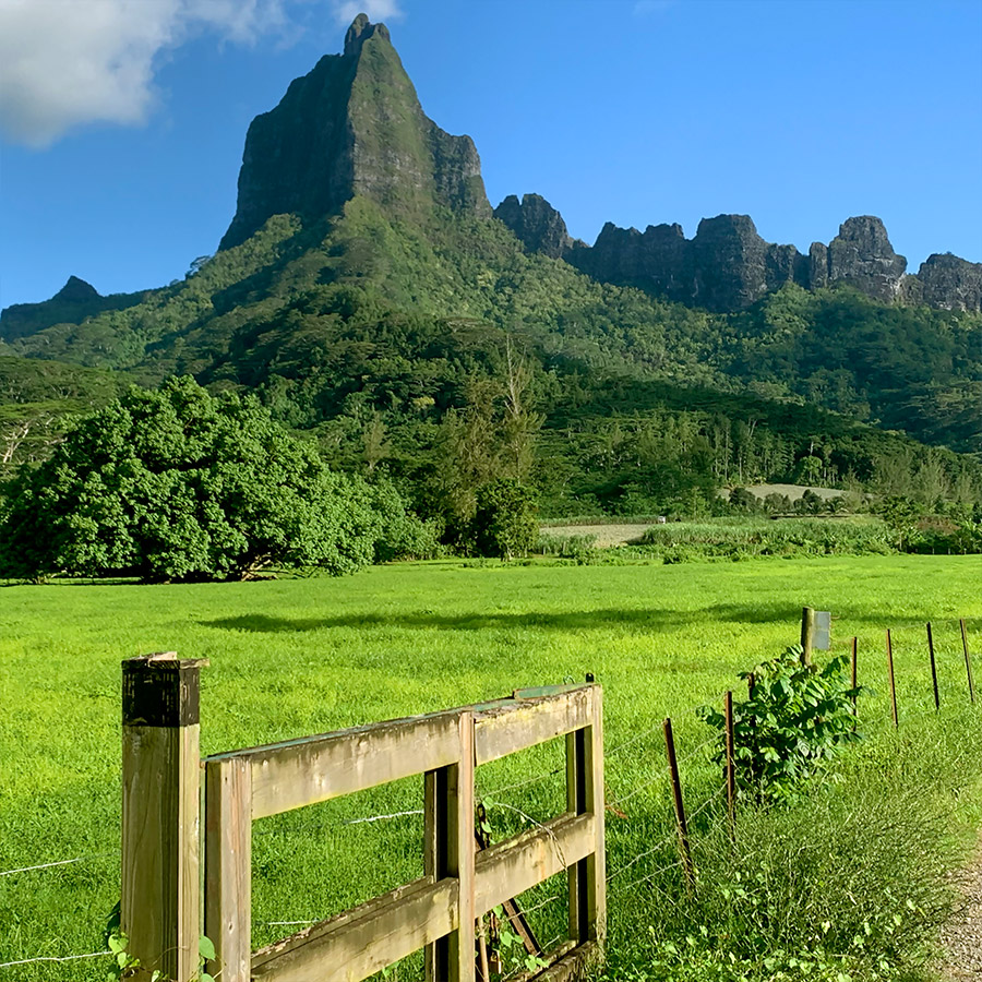 Moorea MouaRoa